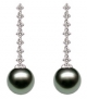 Tahitian& South Sea Pearl Earrings